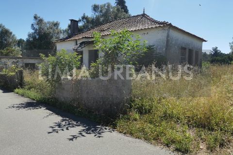 Villa i Ponte de Lima, Viana do Castelo, Ponte de Lima - € 110.000 | Ref: CAS_1109 - foto 3