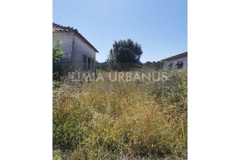 Villa i Ponte de Lima, Viana do Castelo, Ponte de Lima - € 110.000 | Ref: CAS_1109 - foto 5