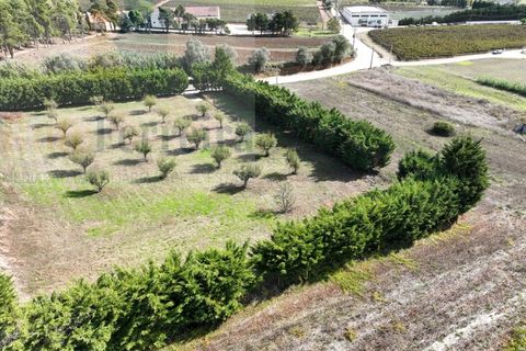 Helårsgrund i Torres Vedras, Lisbon, Torres Vedras - € 480.000 | Ref: RF-04-11/2025 - foto 5