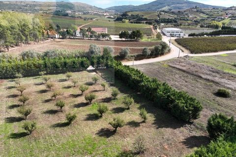 Helårsgrund i Torres Vedras, Lisbon, Torres Vedras - € 480.000 | Ref: RF-04-11/2025 - foto 6