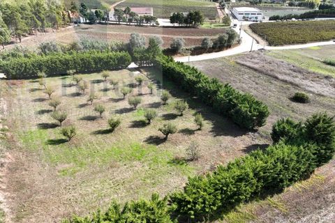 Helårsgrund i Torres Vedras, Lisbon, Torres Vedras - € 480.000 | Ref: RF-04-11/2025 - foto 3