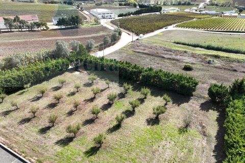 Helårsgrund i Torres Vedras, Lisbon, Torres Vedras - € 480.000 | Ref: RF-04-11/2025 - foto 4