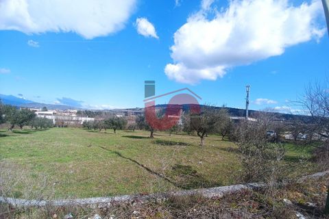 Helårsgrund i Benevento, Benevento, Benevento - € 85.000 | Ref: AA39440 - foto 5