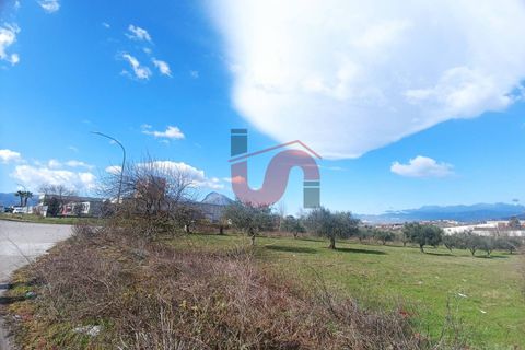 Helårsgrund i Benevento, Benevento, Benevento - € 85.000 | Ref: AA39440 - foto 6