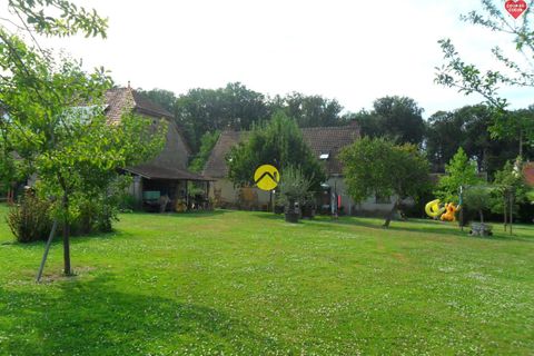 Landejendom i Couleuvre, Allier, Couleuvre - € 260.000 | Ref: 97MS111246 - foto 5