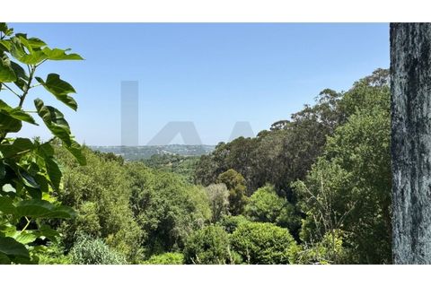 Villa i Almocageme, Lisbon, Almocageme - € 2.175.000 | Ref: KWPT-022593 - foto 45