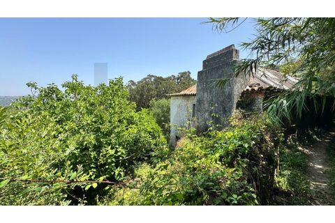 Villa i Almocageme, Lisbon, Almocageme - € 2.175.000 | Ref: KWPT-022593 - foto 3