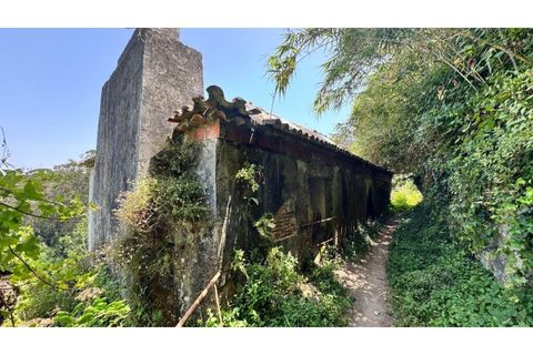 Villa i Almocageme, Lisbon, Almocageme - € 2.175.000 | Ref: KWPT-022593 - foto 4