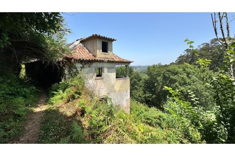 Villa i Almocageme, Lisbon, Almocageme - € 2.175.000 | Ref: KWPT-022593 - foto 5