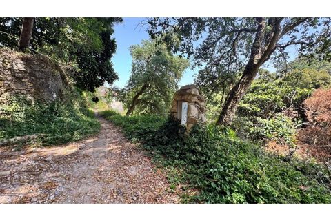 Villa i Almocageme, Lisbon, Almocageme - € 2.175.000 | Ref: KWPT-022593 - foto 9