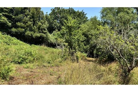 Villa i Almocageme, Lisbon, Almocageme - € 2.175.000 | Ref: KWPT-022593 - foto 12
