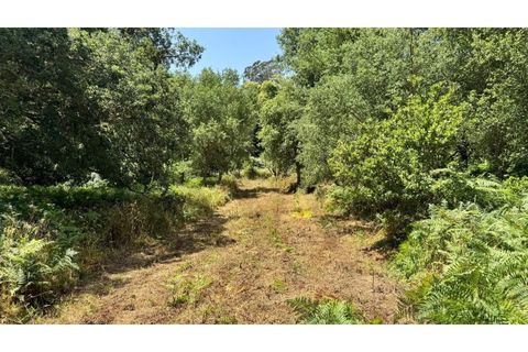Villa i Almocageme, Lisbon, Almocageme - € 2.175.000 | Ref: KWPT-022593 - foto 13
