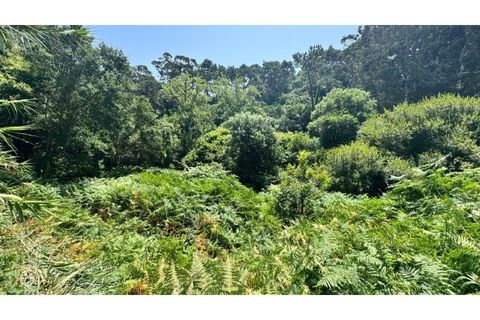 Villa i Almocageme, Lisbon, Almocageme - € 2.175.000 | Ref: KWPT-022593 - foto 14