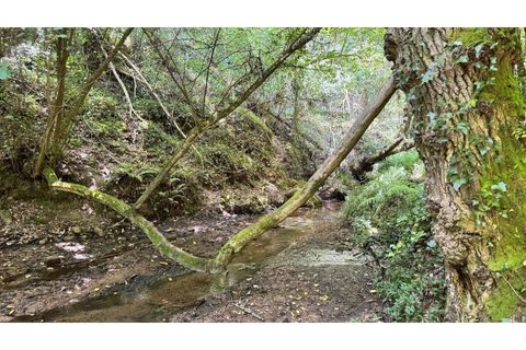 Villa i Almocageme, Lisbon, Almocageme - € 2.175.000 | Ref: KWPT-022593 - foto 17