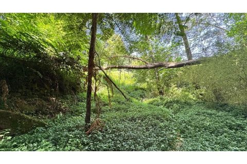 Villa i Almocageme, Lisbon, Almocageme - € 2.175.000 | Ref: KWPT-022593 - foto 24