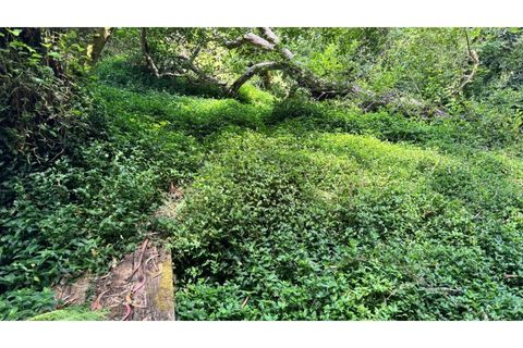 Villa i Almocageme, Lisbon, Almocageme - € 2.175.000 | Ref: KWPT-022593 - foto 28