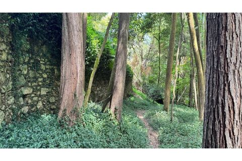 Villa i Almocageme, Lisbon, Almocageme - € 2.175.000 | Ref: KWPT-022593 - foto 37