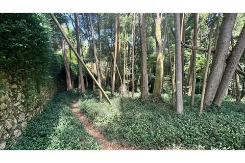 Villa i Almocageme, Lisbon, Almocageme - € 2.175.000 | Ref: KWPT-022593 - foto 39