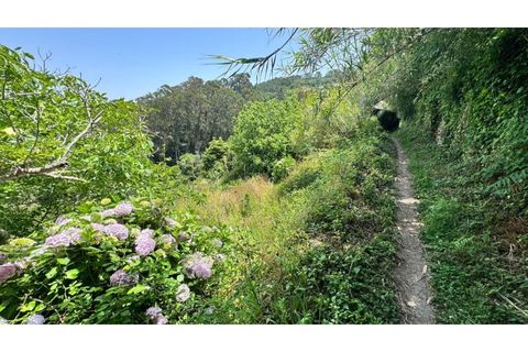 Villa i Almocageme, Lisbon, Almocageme - € 2.175.000 | Ref: KWPT-022593 - foto 44