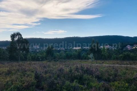 Terra a Melres e Medas, Porto, Melres e Medas - € 137.500 | Ref: 21306 - foto 2