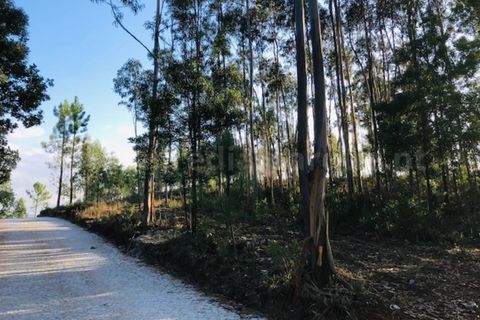 Terra a Melres e Medas, Porto, Melres e Medas - € 137.500 | Ref: 21306 - foto 4