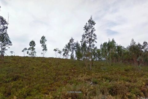 Terra a Melres e Medas, Porto, Melres e Medas - € 137.500 | Ref: 21306 - foto 8