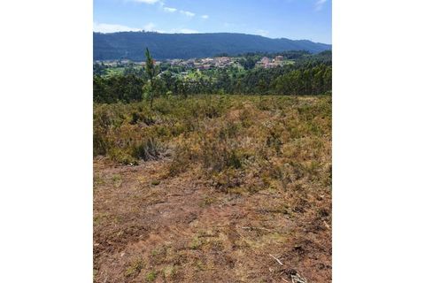 Terra a Melres e Medas, Porto, Melres e Medas - € 137.500 | Ref: 21306 - foto 9