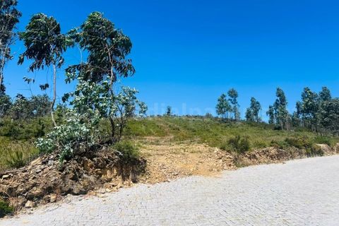 Terra a Melres e Medas, Porto, Melres e Medas - € 137.500 | Ref: 21306 - foto 10