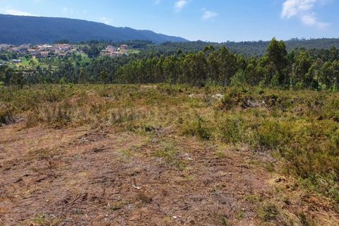Terra a Melres e Medas, Porto, Melres e Medas - € 137.500 | Ref: 21306 - foto 13