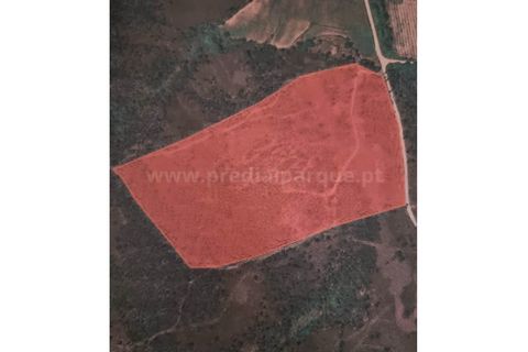 Terra a Melres e Medas, Porto, Melres e Medas - € 137.500 | Ref: 21306 - foto 16