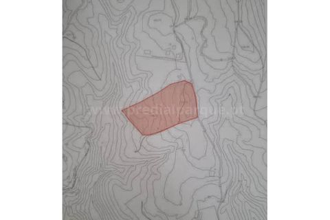 Terra a Melres e Medas, Porto, Melres e Medas - € 137.500 | Ref: 21306 - foto 17