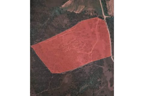 Terra a Melres e Medas, Porto, Melres e Medas - € 137.500 | Ref: 21306 - foto 19
