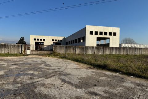 Erhvervsejendom i Ceccano, Frosinone, Ceccano - € 1.500.000 | Ref: 200-282 - foto 2