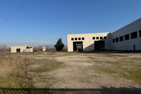 Erhvervsejendom i Ceccano, Frosinone, Ceccano - € 1.500.000 | Ref: 200-282 - foto 6