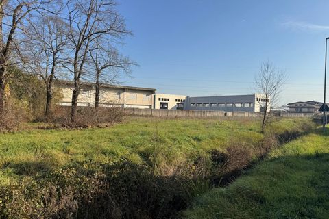 Erhvervsejendom i Ceccano, Frosinone, Ceccano - € 1.500.000 | Ref: 200-282 - foto 20
