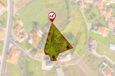 Helårsgrund i Ponta do Sol, Madeira, Ponta do Sol - € 65.000 | Ref: KWPT-023365 - foto 19
