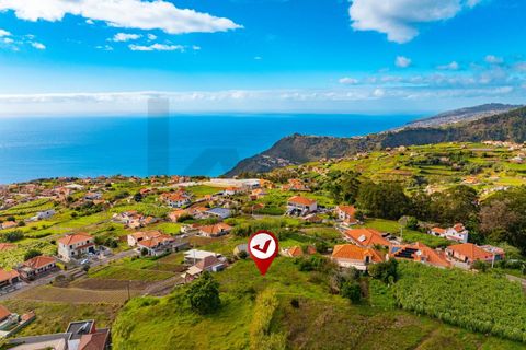Helårsgrund i Ponta do Sol, Madeira, Ponta do Sol - € 65.000 | Ref: KWPT-023365 - foto 28