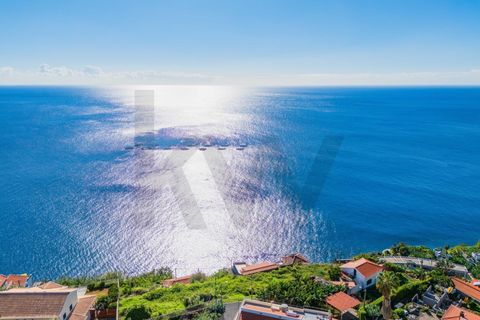 Helårsgrund i Calheta, Madeira, Calheta - € 650.000 | Ref: KWPT-024737 - foto 22