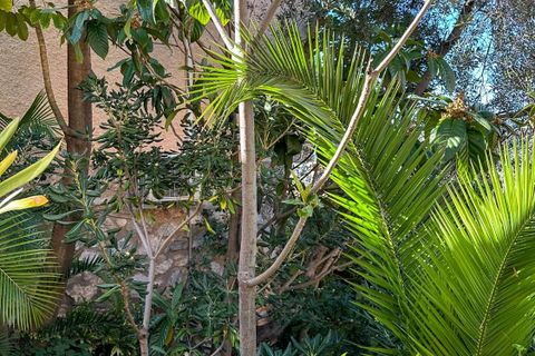 Villa i Almunecar, Granada, Almunecar - € 390.000 | Ref: 5373 - foto 36