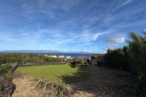 Helårsgrund i Sao Roque do Pico, Pico, Sao Roque do Pico - € 108.000 | Ref: 374250294 - foto 5