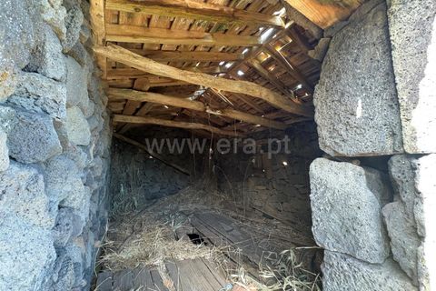 Helårsgrund i Sao Roque do Pico, Pico, Sao Roque do Pico - € 108.000 | Ref: 374250294 - foto 6