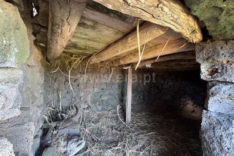 Helårsgrund i Sao Roque do Pico, Pico, Sao Roque do Pico - € 108.000 | Ref: 374250294 - foto 9