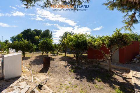 Villa i Elche, Alicante, Elche - € 420.000 | Ref: FBU18712 - foto 43