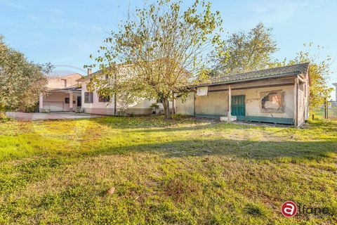 Villa a Pontecorvo, Frosinone, Pontecorvo - € 180.000 | Ref: AC99-149-1689 - foto 4