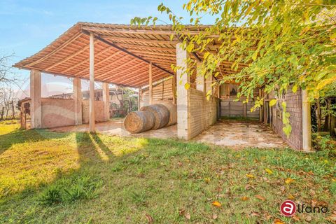 Villa a Pontecorvo, Frosinone, Pontecorvo - € 180.000 | Ref: AC99-149-1689 - foto 5