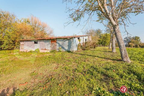 Villa a Pontecorvo, Frosinone, Pontecorvo - € 180.000 | Ref: AC99-149-1689 - foto 29