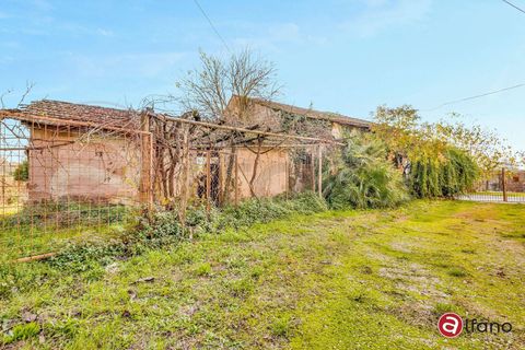 Villa a Pontecorvo, Frosinone, Pontecorvo - € 180.000 | Ref: AC99-149-1689 - foto 30