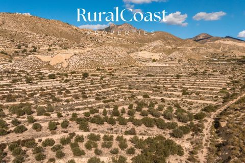 Finca i Busot, Alicante, Busot - € 159.000 | Ref: 7945 - foto 2