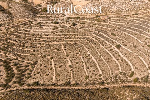 Finca i Busot, Alicante, Busot - € 159.000 | Ref: 7945 - foto 4