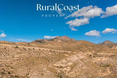 Finca i Busot, Alicante, Busot - € 159.000 | Ref: 7945 - foto 8